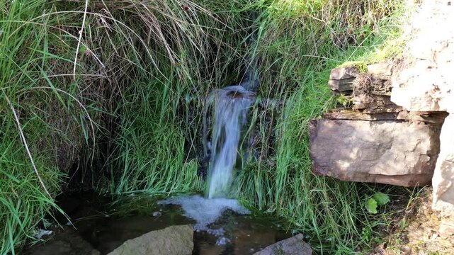 brook trickling out of grassy landsape