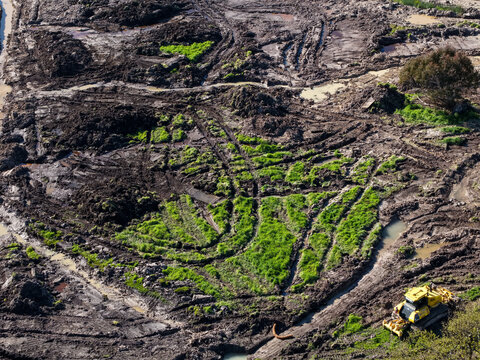 Aerial view of muddy field with green crop patterns
