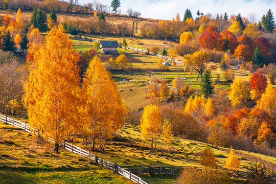 agricultural field on hillside in mountains near village in morning light. wooden fences and colorful trees on the slope