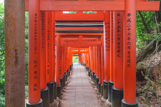 Beautiful Red torii gates at the Fushimi-Inari shrine