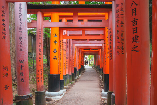 Beautiful Red torii gates at the Fushimi-Inari shrine