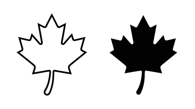 Vector illustration of black and white maple leaf icons set on a transparent background