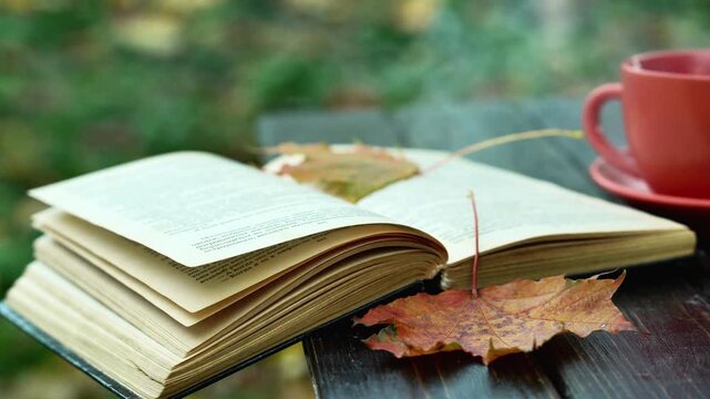 Open book with autumn leaves and steaming red cup on a dark wooden table outdoors in a tranquil seasonal reading scene