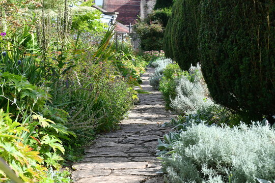 Flagstone garden path flanked by topiary hedges and herbaceous borders in an historic English garden