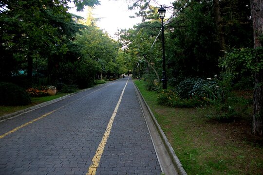 Paved cobblestone path with yellow painted road lines running through a green park surrounded by lush trees and lanterns.