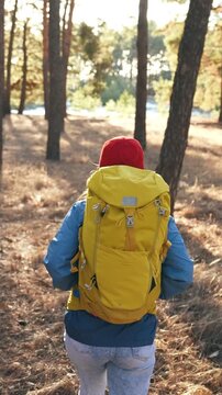 A woman walks along a path in a forest. She carries a large yellow backpack and wears a red hat, set against the trees and sunlit ground.