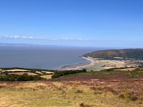 View from a heather-covered hillside over farmland, a curved shingle beach and a wooded headland towards a calm sea under a clear blue sky with thin cloud on the horizon.