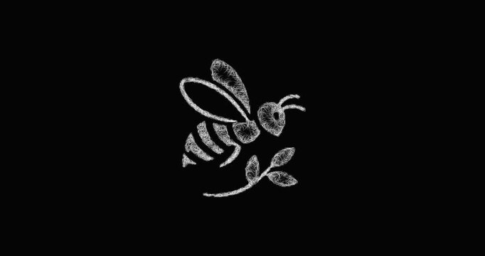 Sketch honey bee logo animation - smooth progressive reveal