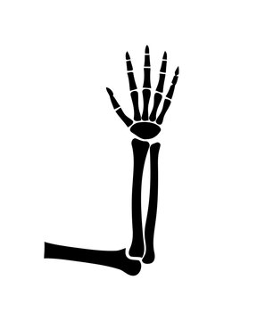 Spooky halloween skeleton hand and arm illustration a dark and creepy silhouette