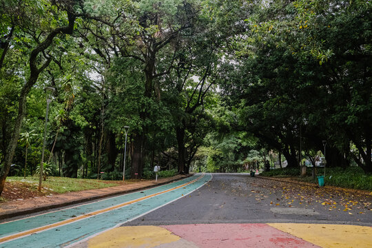 Parque Municipal Am&eacute;rico Renn&eacute; Giannetti - Belo Horizonte, MG, Brasil