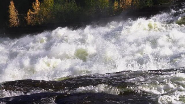 Turbulent whitewater from the Pite River crashing over rocks at the Storforsen nature reserve in Swedish Lapland, creating a powerful and scenic natural spectacle during autumn