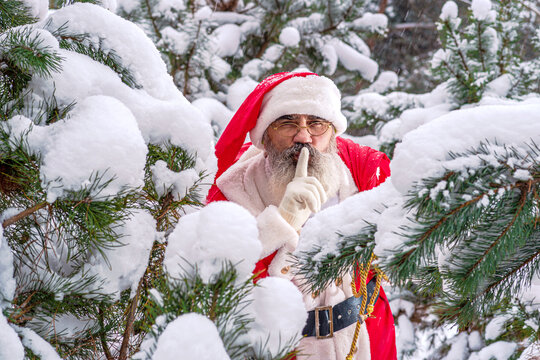 Santa Claus on Xmas Eve in the snowy forest