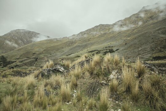 Landscape in the Andean highlands, Curipata, Peru