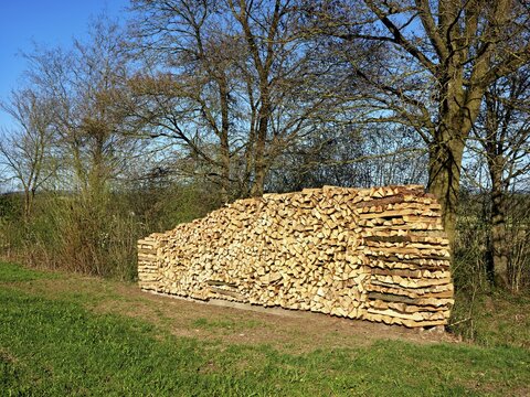 Stacks of wood on the edge of a meadow, Schoren, M&uuml;hlau, Freiamt, Canton of Aargau, Switzerland