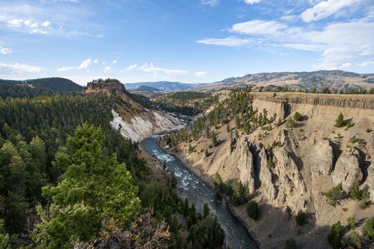 View from Calcite Springs Overlook on Canyon with Yellowstone River, The Narrows, Yellowstone National Park, Wyoming, USA
