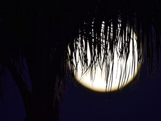 Lunar Filter © Brett