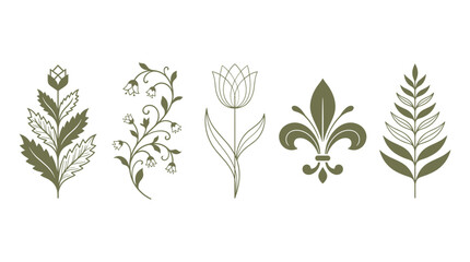 Botanical floral vector illustration set featuring stylized leaves, flowers, and fleur de lis isolated on white background © SIDDHARTHO