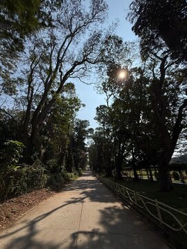 Mysore in summer