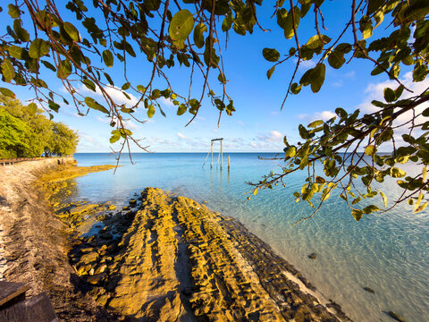 Sunrise lights a coastal boardwalk and pandanus trees overlooking the crystal clear waters of Heron Island, Great Barrier Reef, Australia.