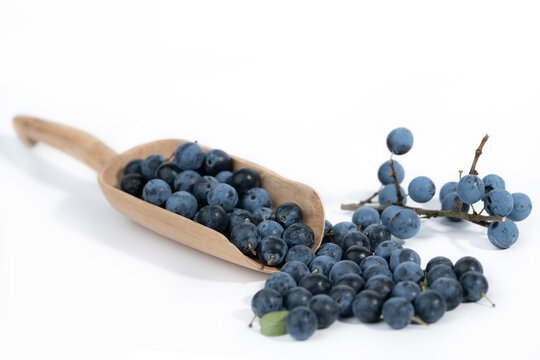Close-up of ripe blue sloes (Prunus spinosa) resting on a wooden shovel against a white background.