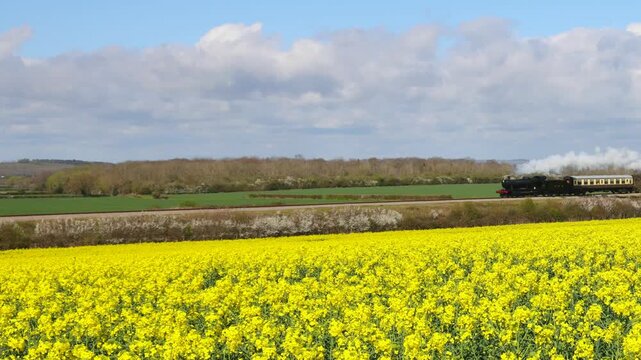 Steam Railway, Gloucestershire Warwickshire Steam Railway, GWSR, Rapeseed Field, Broadway, The Cotswolds, England, Great Britain