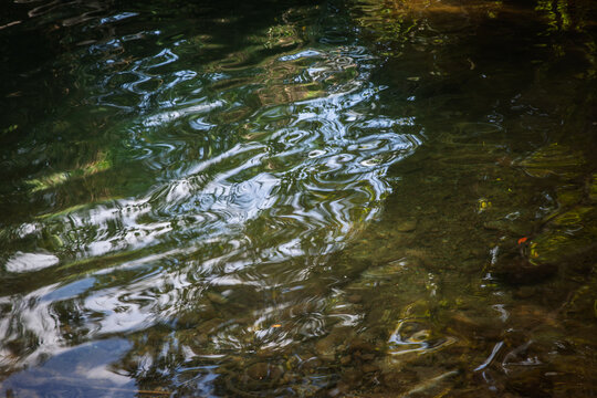 Gentle ripples distort reflections of sky and surrounding foliage on a clear stream. Submerged stones remain visible beneath the moving surface, creating an abstract pattern of green, blue and brown.