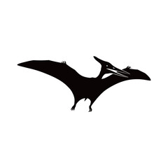 Pteranodon Flying Reptile Black Silhouette Vector Isolated on White Background © WIDIANTI