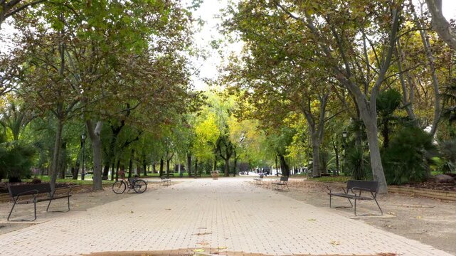 Bench in the Parque de la Monta&ntilde;a offering a view of an Egyptian column from the Temple of Debod, Madrid, Spain.