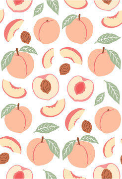 White Peach Vector Illustration for Fresh Fruit, Healthy Food and Summer Ingredient／白桃・フルーツ・健康食材を表すベクターイラスト