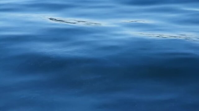 Blue water surface ripples, blue sea surface wave dynamic background