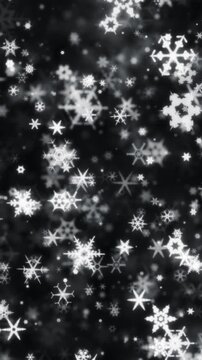 Winter scene of glowing snowflakes sparkling on black background. Snowflake backgrounds with twinkling snow flakes creating cold wintry atmosphere. Soft snowflakes for winter or Christmas background.