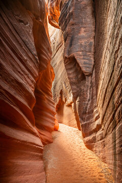 Sandy Floor Of Wire Pass Leads To The Sunny Intersection With Buck Skin Gulch