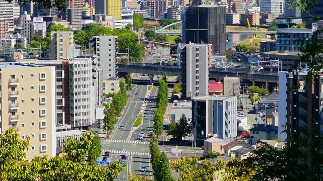 万日山から見える熊本駅周辺の街並み
