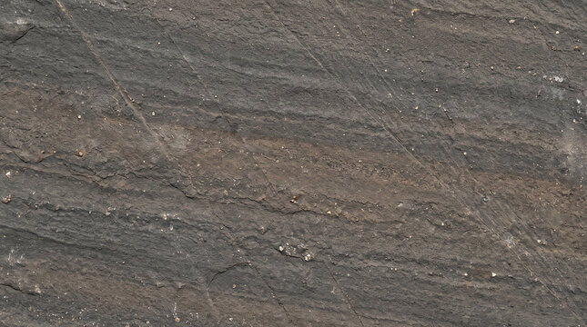 Dark stratified sedimentary rock face with fine striations and scratches