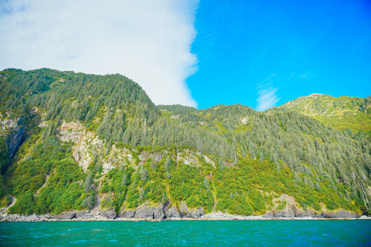 Landscape of Kenai Fjords National Park and Seward resurrection bay, glacier, harding ice cap ice field and pacific ocean in Alaska, USA