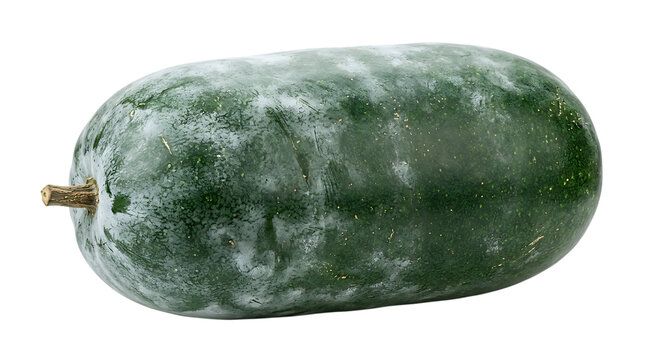 Fresh whole winter melon isolated on a black background for culinary and healthy food photography projects