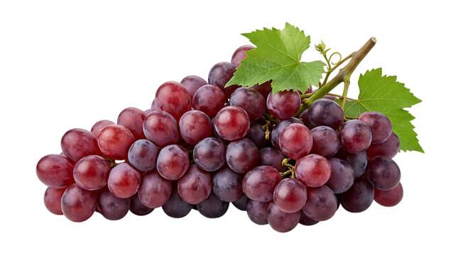 A fresh bunch of ripe red grapes with green leaves isolated on a solid black background