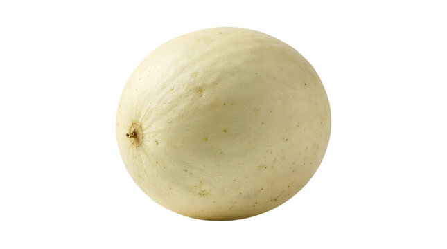 A single whole honeydew melon with smooth light green skin isolated on a white background