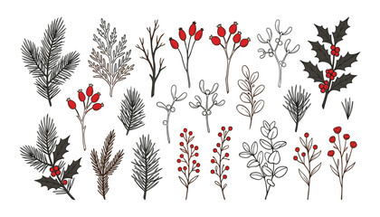Christmas botanical element and winter holly berry vector set. Collection of isolated hand drawn pine branches, mistletoe leaves, rosehip stems, eucalyptus twigs, and holiday line art decorations. © RUKHSANA