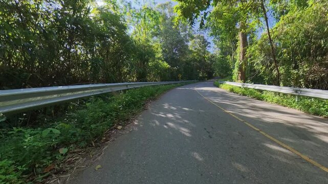 Winding paved road through lush green forest, bordered by metal guardrails and illuminated by sunlight filtering through the trees, with dappled shadows across the pavement.