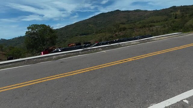 Bifurcacion vial con flechas direccionales y senalizacion en el asfalto