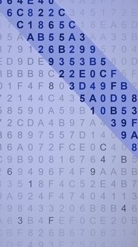 Matriz de unos y ceros con banda resaltada en bucle sin costuras