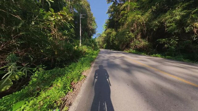Cycling POV along a quiet forest road surrounded by lush green vegetation, with a long cyclist shadow stretching across the sunlit pavement.
