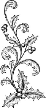 Vintage Christmas Holly Leaves Flourish Woodcut
