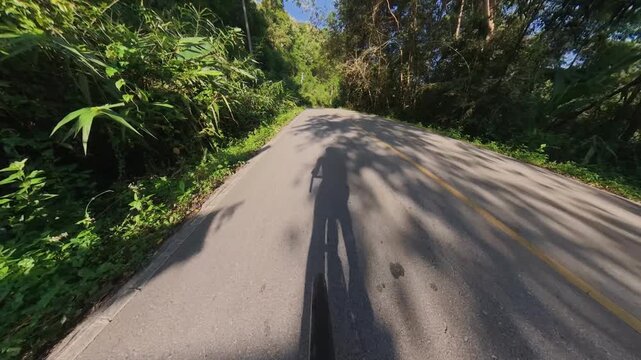 Cycling POV along a quiet forest road surrounded by lush tropical vegetation, with a long cyclist shadow and sunlight filtering through the trees.