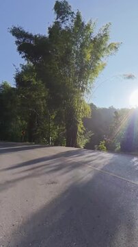 Vertical footage of a winding rural road bordered by lush green trees, with bright sunlight filtering through the forest and long shadows across the pavement.