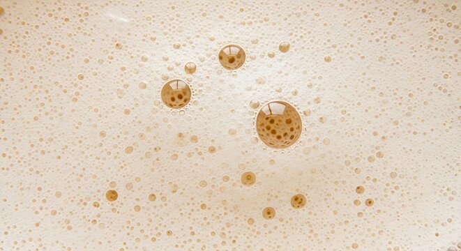 Microscopic pollen grains with visible pores under magnification