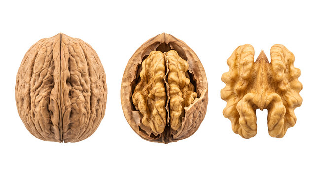 Whole cracked and shelled walnut kernels set for healthy snack food, organic dried nut with shell for nutrition and cooking ingredient, isolated transparent background cutout PNG element