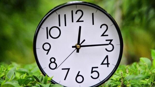 White Analog Clock Resting on Green Leaves Outdoors