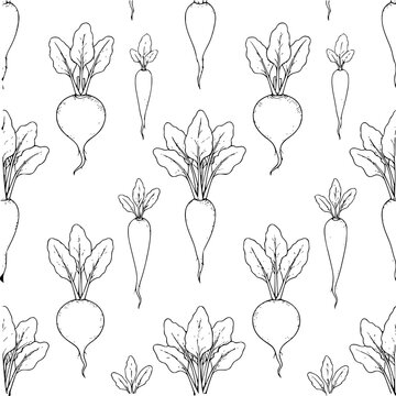 Seamless pattern with hand drawn radishes and beets in black and white style for kitchen decor background
